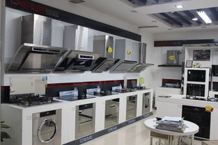 十一黄金周消费趋势分析 中高端绿色智能家电与健康玩具成市场亮点